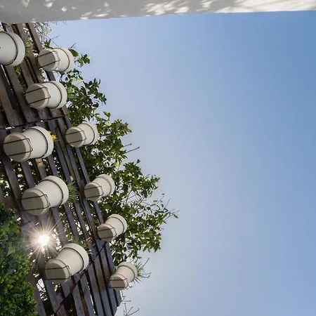 Calm Sunny House With Terrace Apartment *